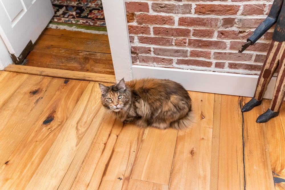 Williston Farmhouse image 31